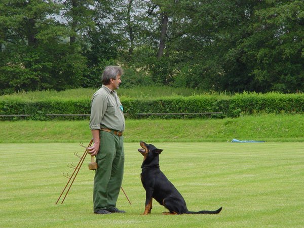 photo19.jpg