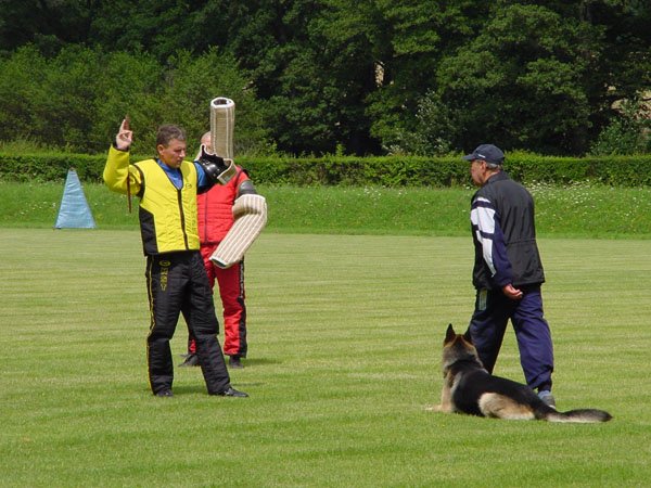 photo21.jpg
