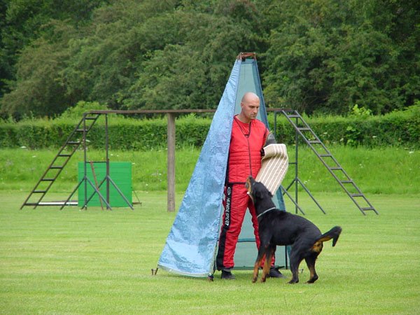 photo23.jpg