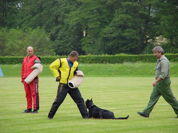 photo24.jpg