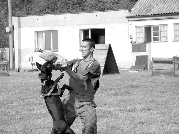 photo30.jpg