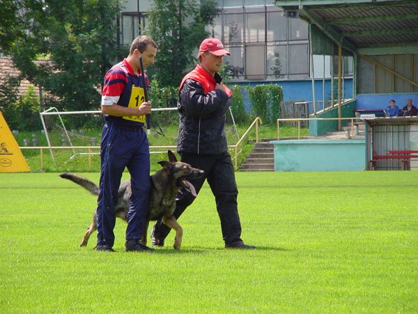 photo37.jpg
