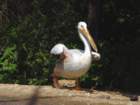 photo12_small.jpg