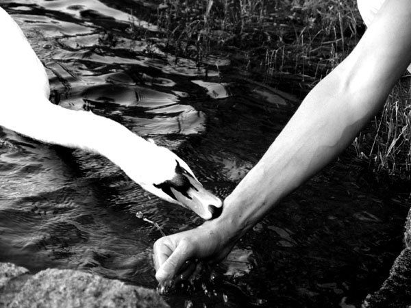 photo6.jpg