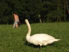 photo7_small.jpg