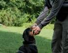 _bentley_01_small.jpg