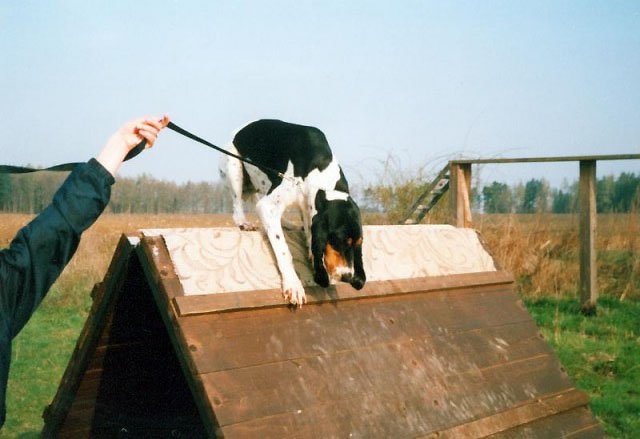 _kalinka2006_01.jpg