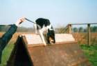 _kalinka2006_01_small.jpg